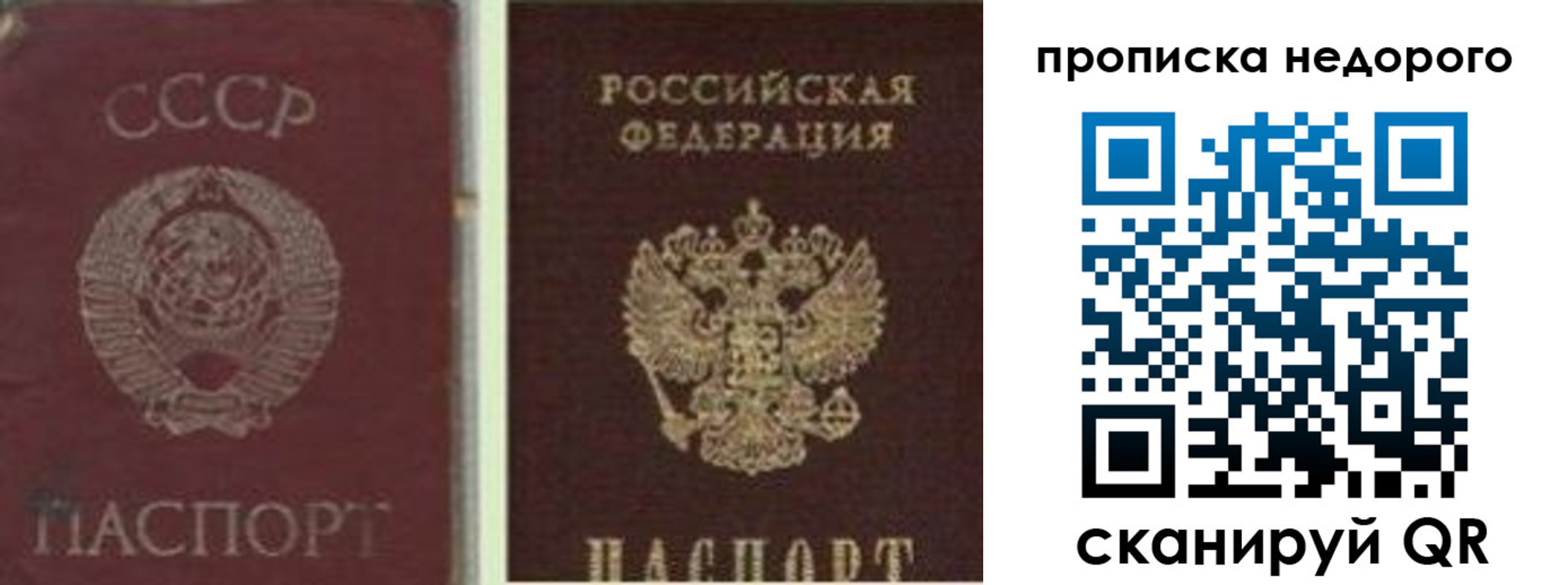 временная регистрация поиск в Красном Куте
